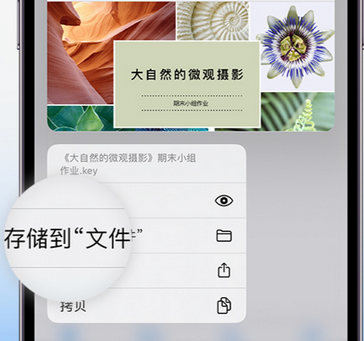 防城港apple维修中心分享iPhone文件应用中存储和找到下载文件