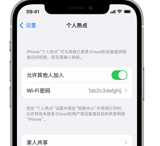 防城港apple服务站点分享iPhone上个人热点丢失了怎么办