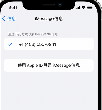 防城港apple维修iPhone上无法正常发送iMessage信息 