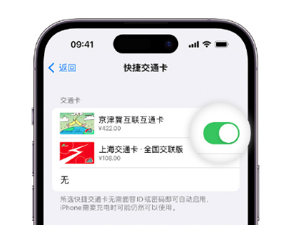 防城港apple维修点分享iPhone上更换Apple Pay快捷交通卡手绘卡面 