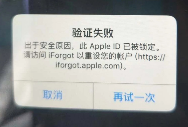 防城港iPhone维修分享iPhone上正常登录或使用AppleID怎么办 