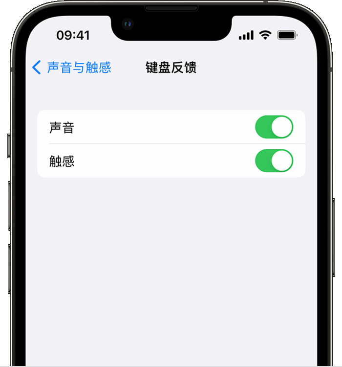 防城港苹果14维修店分享如何在 iPhone 14 机型中使用触感键盘 