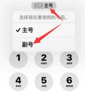 防城港苹果14维修店分享iPhone 14 Pro Max使用副卡打电话的方法 