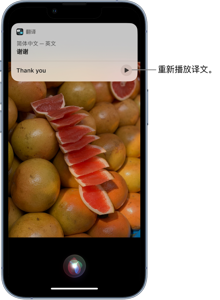 防城港苹果14维修分享 iPhone 14 机型中使用 Siri：了解 Siri 能帮你做什么 