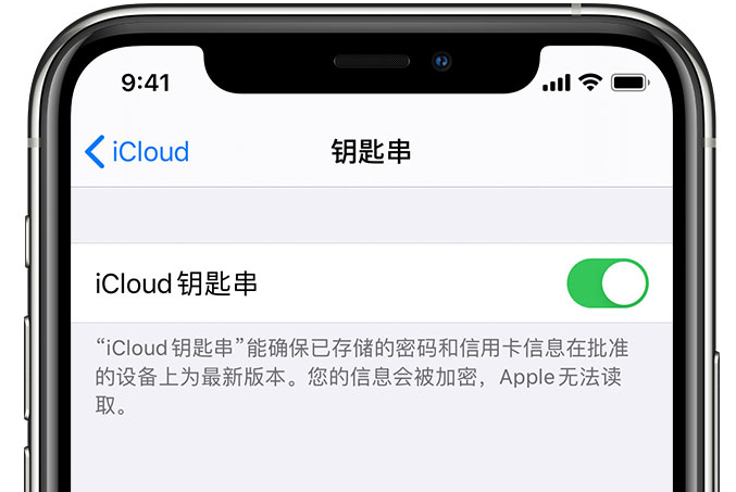 防城港苹果手机维修分享在 iPhone 上开启 iCloud 钥匙串之后会储存哪些信息 